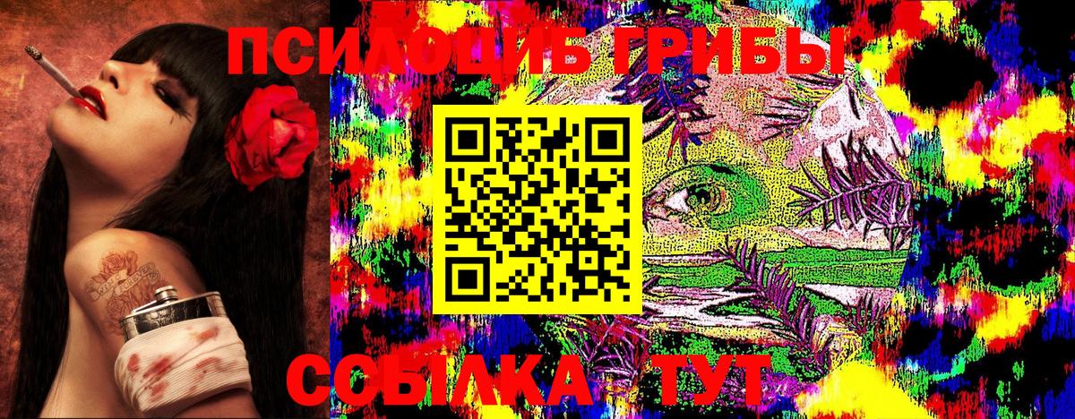 Галлюциногенные грибы Cubensis Новый Уренгой